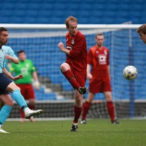 Brighton & Hove Albion: Ten Players in Action (May 1, 2015) Brighton & Hove Albion: Ten Players in Action (May 1, 2015)