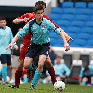 Brighton & Hove Albion: Ten Players in Action (May 1, 2015) Brighton & Hove Albion: Ten Players in Action (May 1, 2015)