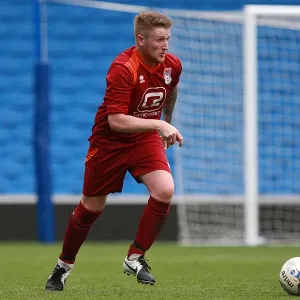 Brighton & Hove Albion: Ten Players in Action on the Pitch (May 1, 2015) Brighton & Hove Albion: Ten Players in Action on the Pitch (May 1, 2015)