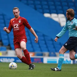 Brighton & Hove Albion: Ten Players in Action on the Pitch (May 1, 2015) Brighton & Hove Albion: Ten Players in Action on the Pitch (May 1, 2015)
