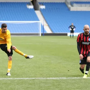 Brighton & Hove Albion: Playing on Pitch (05/29/15, 2:00 PM) Brighton & Hove Albion: Playing on Pitch (05/29/15, 2:00 PM)
