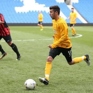 Brighton & Hove Albion: Playing on Pitch (5), April 29, 2015 (PM) Brighton & Hove Albion: Playing on Pitch (5), April 29, 2015 (PM)