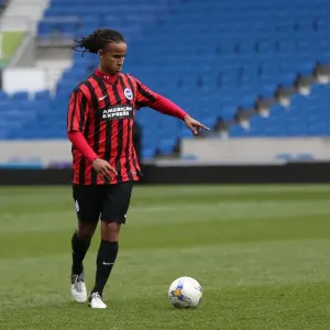 Brighton & Hove Albion: Playing on Pitch (April 29, 2015, 5:00 PM) Brighton & Hove Albion: Playing on Pitch (April 29, 2015, 5:00 PM)