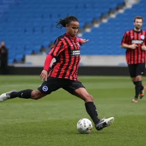 Brighton & Hove Albion: Playing on Pitch (April 29, 2015, 5:00 PM) Brighton & Hove Albion: Playing on Pitch (April 29, 2015, 5:00 PM)