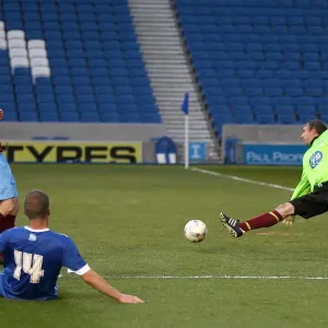 Brighton & Hove Albion: Playing on the Pitch (April 29, 2015)