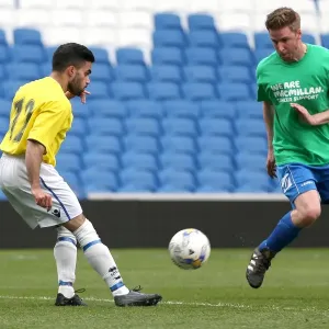 Brighton & Hove Albion: Playing on Pitch (April 30, 2015, 7:00 PM) Brighton & Hove Albion: Playing on Pitch (April 30, 2015, 7:00 PM)
