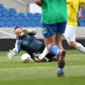 Brighton & Hove Albion: Playing on Pitch (April 30, 2015, 7:00 PM) Brighton & Hove Albion: Playing on Pitch (April 30, 2015, 7:00 PM)