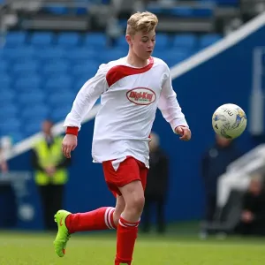Brighton & Hove Albion: Playing on the Pitch - May 2015 Brighton & Hove Albion: Playing on the Pitch - May 2015