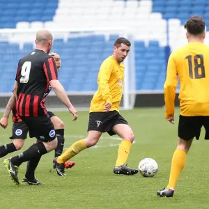 Brighton & Hove Albion: Playing on Pitch (May 29, 2015, 2:00 PM) Brighton & Hove Albion: Playing on Pitch (May 29, 2015, 2:00 PM)