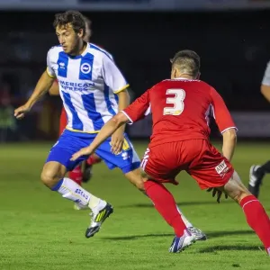 Brighton & Hove Albion Pre-Season 2013-14: Clash with Crawley Town (July 24) Brighton & Hove Albion Pre-Season 2013-14: Clash with Crawley Town (July 24)