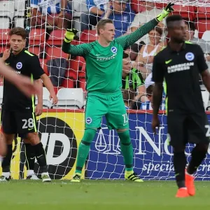 Brighton and Hove Albion Pre-Season: The Lamex Stadium Showdown vs. Stevenage (23JUL16) Brighton and Hove Albion Pre-Season: The Lamex Stadium Showdown vs. Stevenage (23JUL16)