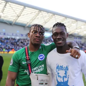 Brighton and Hove Albion: Premier League Survival Celebrated with Emotional Lap of Appreciation (12 May 2019)