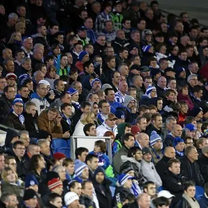 Brighton & Hove Albion: Reliving the Excitement of the 2012-13 Season - Home Game vs. Bristol City (November 2012) Brighton & Hove Albion: Reliving the Excitement of the 2012-13 Season - Home Game vs. Bristol City (November 2012)