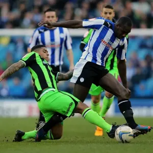 Brighton & Hove Albion at Sheffield Wednesday: 2012-13 Away Game