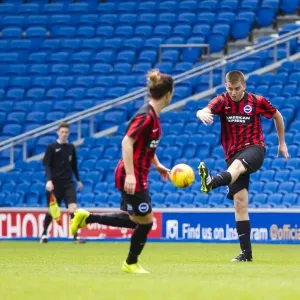 Brighton & Hove Albion: Staff Match on the Pitch (2015) Brighton & Hove Albion: Staff Match on the Pitch (2015)