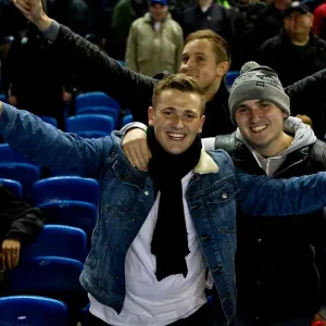 Brighton & Hove Albion: Thrilling Crowd Moments at The Amex (2012-2013) Brighton & Hove Albion: Thrilling Crowd Moments at The Amex (2012-2013)