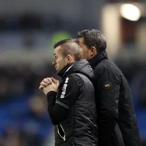 Brighton & Hove Albion: Triumphant 3-1 Home Win Against Barnsley (Dec 3, 2013 - Season 2013-14) Brighton & Hove Albion: Triumphant 3-1 Home Win Against Barnsley (Dec 3, 2013 - Season 2013-14)