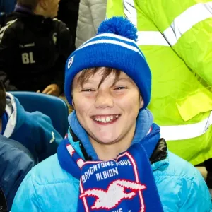 Brighton and Hove Albion: Unforgettable Crowd Moments at the Amex Stadium (2012-2013) Brighton and Hove Albion: Unforgettable Crowd Moments at the Amex Stadium (2012-2013)