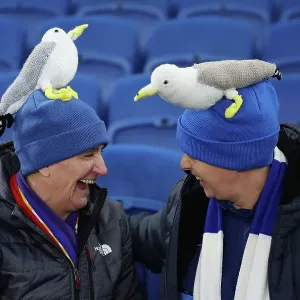 Brighton and Hove Albion v Arsenal Premier League 04JAN25 Brighton and Hove Albion v Arsenal Premier League 04JAN25