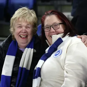 Brighton and Hove Albion v Aston Villa Premier League 02APR25 Brighton and Hove Albion v Aston Villa Premier League 02APR25
