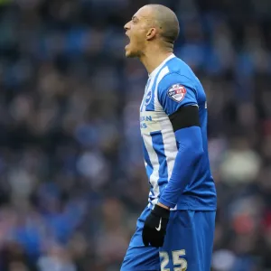 Brighton and Hove Albion v Bolton Wanderers Sky Bet Championship 13 / 02 / 2016