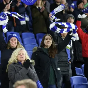 Brighton and Hove Albion v Bournemouth Premier League 25FEB25 Brighton and Hove Albion v Bournemouth Premier League 25FEB25