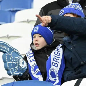 Brighton and Hove Albion v Brentford<br> Premier League<br> 22NOV25 Brighton and Hove Albion v Brentford<br> Premier League<br> 22NOV25