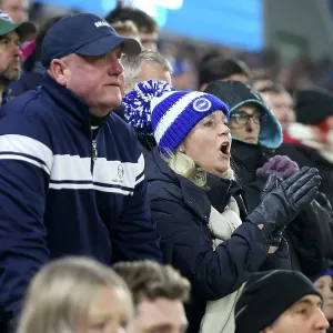Brighton and Hove Albion v Brentford Premier League 27DEC24