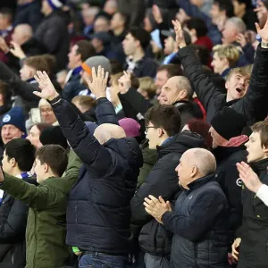 Brighton and Hove Albion v Crystal Palace Premier League 04FEB24 Brighton and Hove Albion v Crystal Palace Premier League 04FEB24
