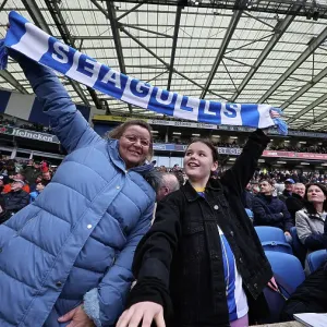 Brighton and Hove Albion v Crystal Palace Premier League 04FEB24 Brighton and Hove Albion v Crystal Palace Premier League 04FEB24