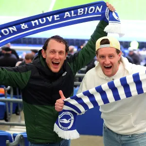 Brighton and Hove Albion v Crystal Palace<br> Premier League<br> 08FEB26 Brighton and Hove Albion v Crystal Palace<br> Premier League<br> 08FEB26