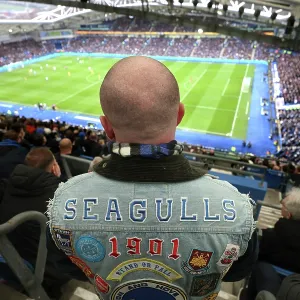 Brighton and Hove Albion v Crystal Palace<br> Premier League<br> 08FEB26 Brighton and Hove Albion v Crystal Palace<br> Premier League<br> 08FEB26