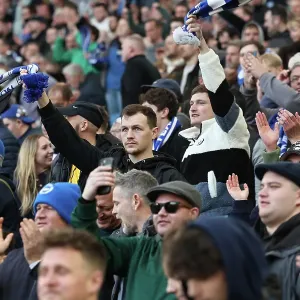 Brighton and Hove Albion v Fulham Premier League 08MAR25 Brighton and Hove Albion v Fulham Premier League 08MAR25