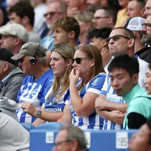 Brighton and Hove Albion v Fulham<br> Premier League<br> 16AUG25