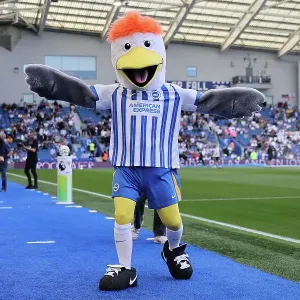 Brighton and Hove Albion v Ipswich Town Premier League 14SEP24 Brighton and Hove Albion v Ipswich Town Premier League 14SEP24