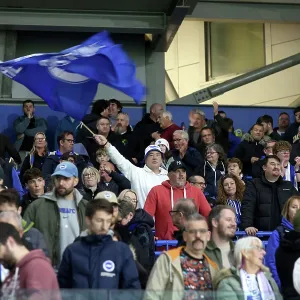 Brighton and Hove Albion v Leeds United<br> Premier League<br> 01NOV25 Brighton and Hove Albion v Leeds United<br> Premier League<br> 01NOV25