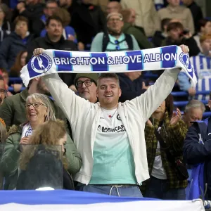 Brighton and Hove Albion v Leeds United<br> Premier League<br> 01NOV25 Brighton and Hove Albion v Leeds United<br> Premier League<br> 01NOV25