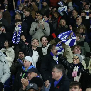 Brighton and Hove Albion v Manchester City Premier League 09NOV24