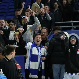 Brighton and Hove Albion v Manchester City Premier League 09NOV24