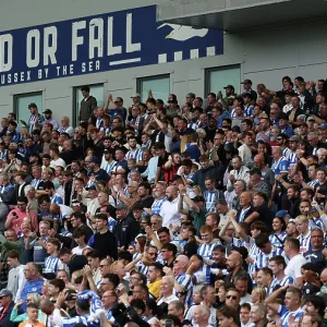 Brighton and Hove Albion v Manchester City<br> Premier League<br> 31AUG25 Brighton and Hove Albion v Manchester City<br> Premier League<br> 31AUG25