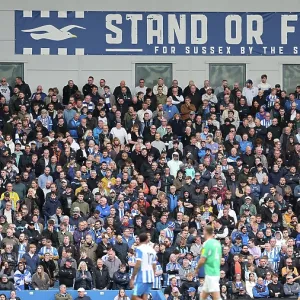 Brighton and Hove Albion v Newcastle United<br> Premier League<br> 18OCT25