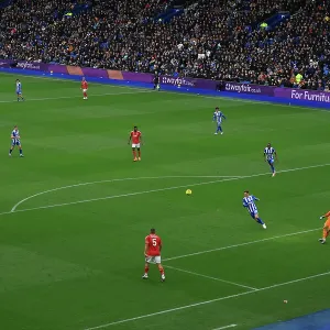 Brighton and Hove Albion v Nottingham Forest<br> Premier League<br> 01MAR26 Brighton and Hove Albion v Nottingham Forest<br> Premier League<br> 01MAR26