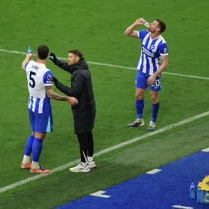 Brighton and Hove Albion v Nottingham Forest<br> Premier League<br> 01MAR26 Brighton and Hove Albion v Nottingham Forest<br> Premier League<br> 01MAR26