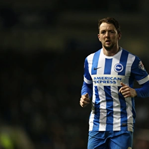 Brighton and Hove Albion v Reading Sky Bet Championship 15 / 03 / 2016