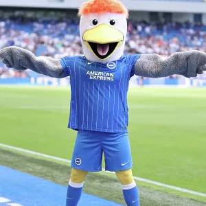 Brighton and Hove Albion v Roma 2026 Pre-Season Friendly Match Print Brighton and Hove Albion v Roma 2026 Pre-Season Friendly Match Print