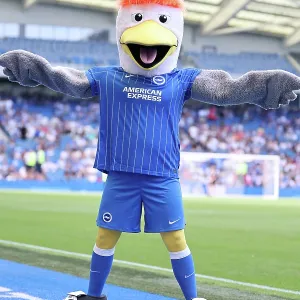 American Express Stadium Print: Brighton and Hove Albion v Roma Match Action American Express Stadium Print: Brighton and Hove Albion v Roma Match Action