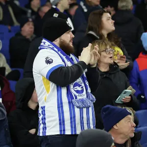 Brighton and Hove Albion v Southampton Premier League 29NOV24 Brighton and Hove Albion v Southampton Premier League 29NOV24