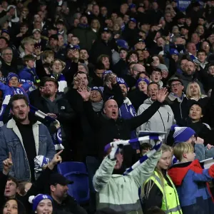 Brighton and Hove Albion v Southampton Premier League 29NOV24 Brighton and Hove Albion v Southampton Premier League 29NOV24