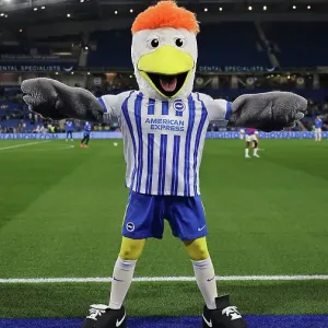 Brighton and Hove Albion v Wolverhampton Wanderers Carabao Cup 18SEP24 Brighton and Hove Albion v Wolverhampton Wanderers Carabao Cup 18SEP24