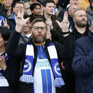 Brighton and Hove Albion v Wolverhampton Wanderers Premier League 26OCT24 Brighton and Hove Albion v Wolverhampton Wanderers Premier League 26OCT24